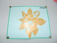 /album/feuilles-et-papillons/picture-225-jpg/